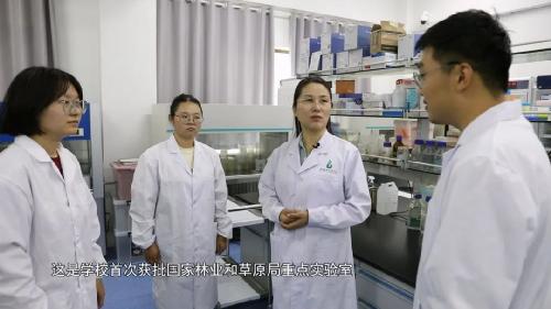 盐碱地播种希望 |williamhill官的报国答卷